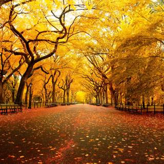 Spring street wallpaper