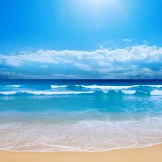 Summer weather wallpaper