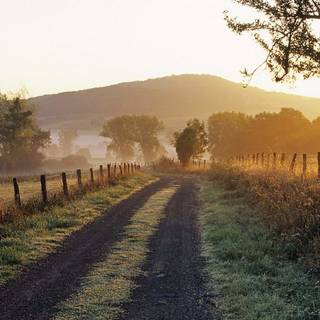 Summer country wallpaper