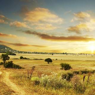 Summer country wallpaper