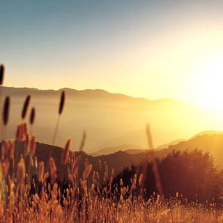 Summer country wallpaper