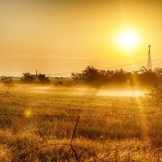 Summer country wallpaper