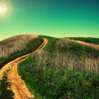 Summer country wallpaper