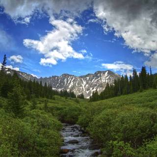 Summer country wallpaper