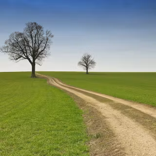 Summer country wallpaper