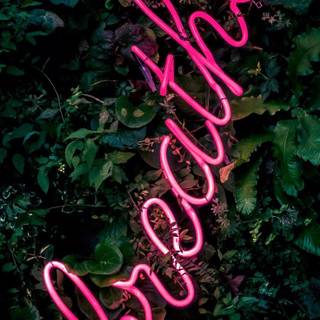 Neon summer wallpaper