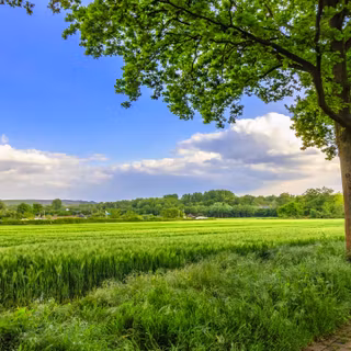 Summer 3440x1440 wallpaper