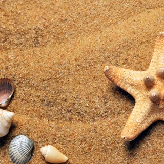 Summer 3440x1440 wallpaper