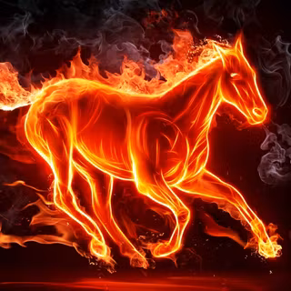 4k horse wallpaper
