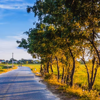 Summer 3440x1440 wallpaper