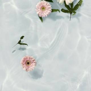 Summer floral wallpaper