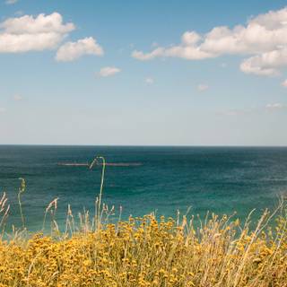 Summer 3440x1440 wallpaper