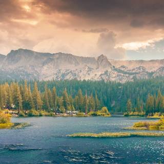 Summer 3440x1440 wallpaper