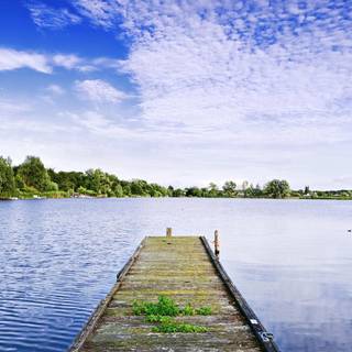 Lake summer wallpaper