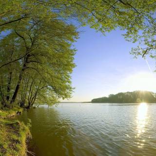 Lake summer wallpaper