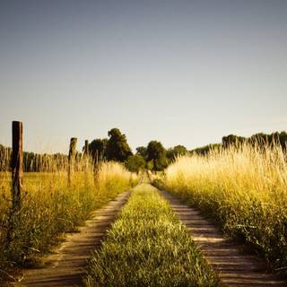 Macbook summer wallpaper