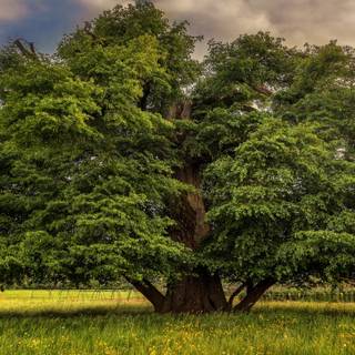 Summer 3440x1440 wallpaper