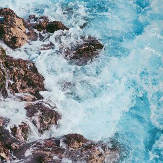 Macbook summer wallpaper