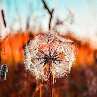 Summer 3440x1440 wallpaper