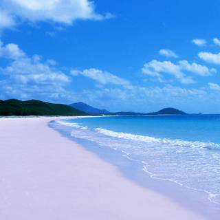 Macbook summer wallpaper