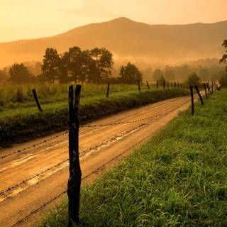 Rustic summer wallpaper