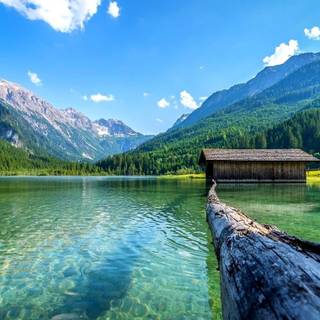 Lake summer wallpaper