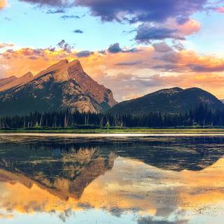 Lake summer wallpaper