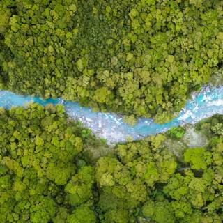 Summer 3440x1440 wallpaper