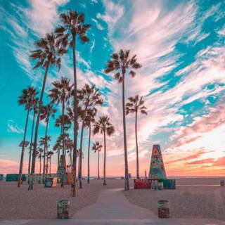 Summer travel wallpaper