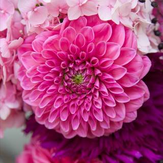 Rustic summer wallpaper