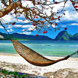 Summer travel wallpaper