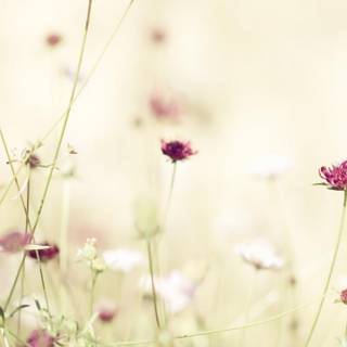 Spring vintage wallpaper