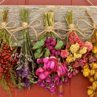 Rustic summer wallpaper