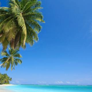 Summer 3440x1440 wallpaper