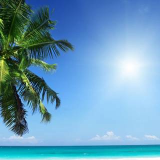 Summer 3440x1440 wallpaper