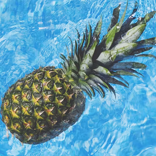 Summer pineapple wallpaper