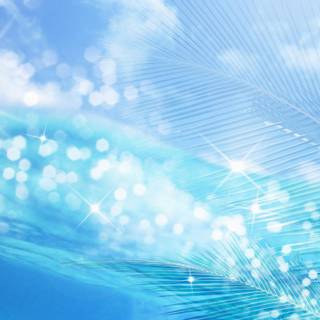 Summer abstract wallpaper