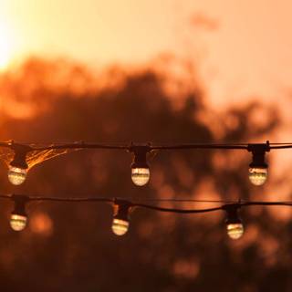 Summer lights wallpaper