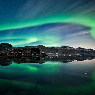 Summer lights wallpaper