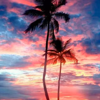 California summer wallpaper