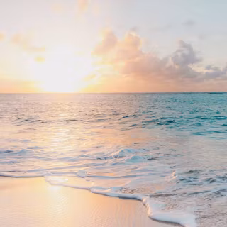 Summer lights wallpaper