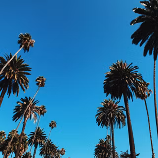 California summer wallpaper