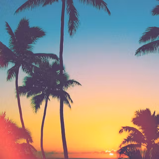 California summer wallpaper