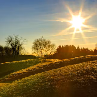 Summer lights wallpaper