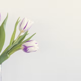 5120x1440 spring wallpaper