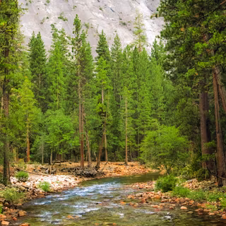 California summer wallpaper