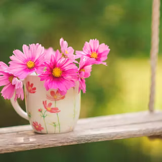 Spring plants wallpaper