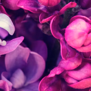 5120x1440 spring wallpaper