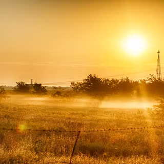 Summer lights wallpaper