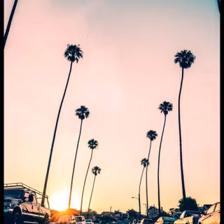 California summer wallpaper